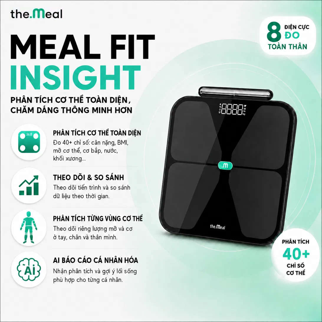 Meal Fit Insight